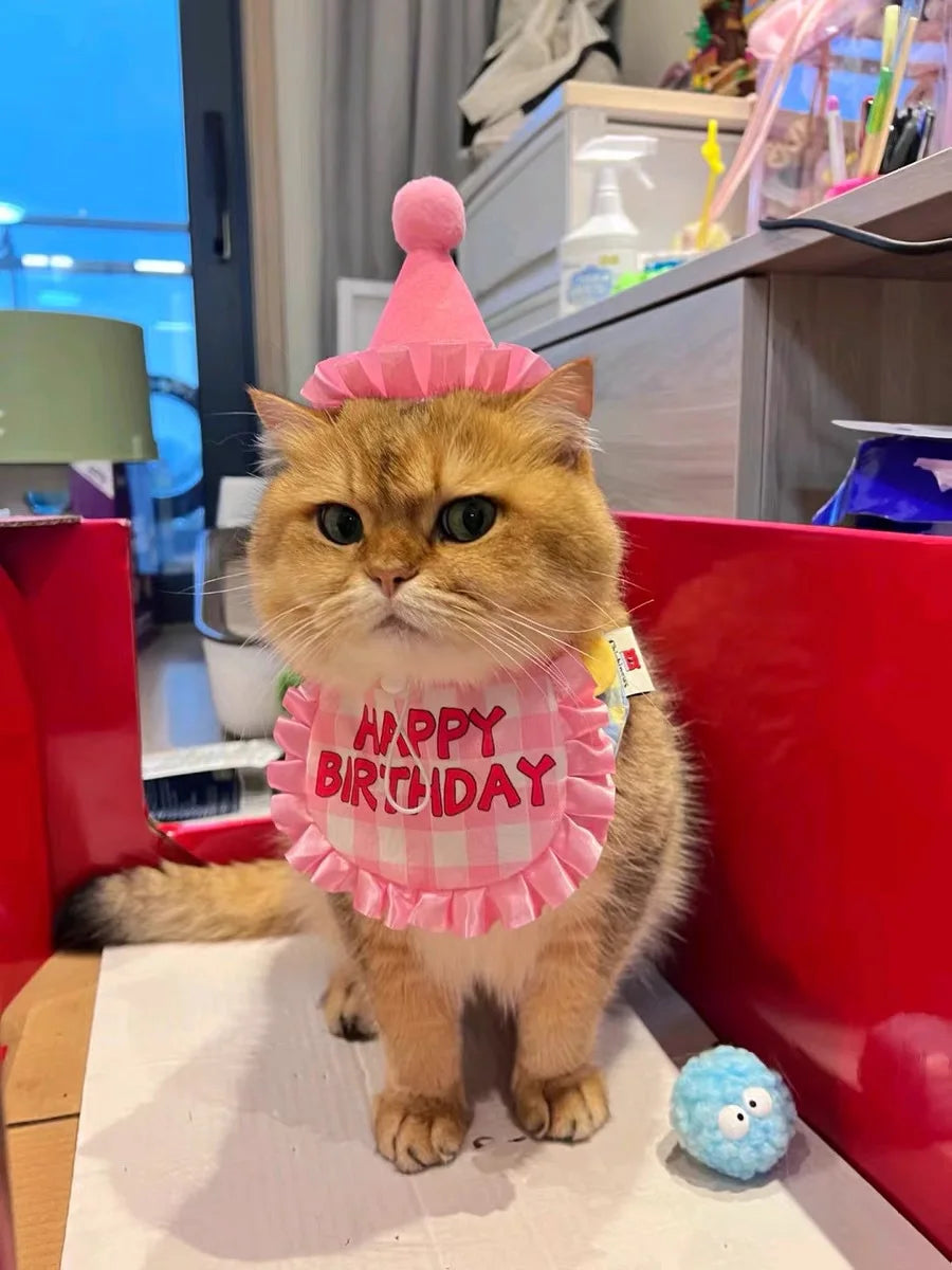 Happy Birthday Pet Party Hat and Bib Set
