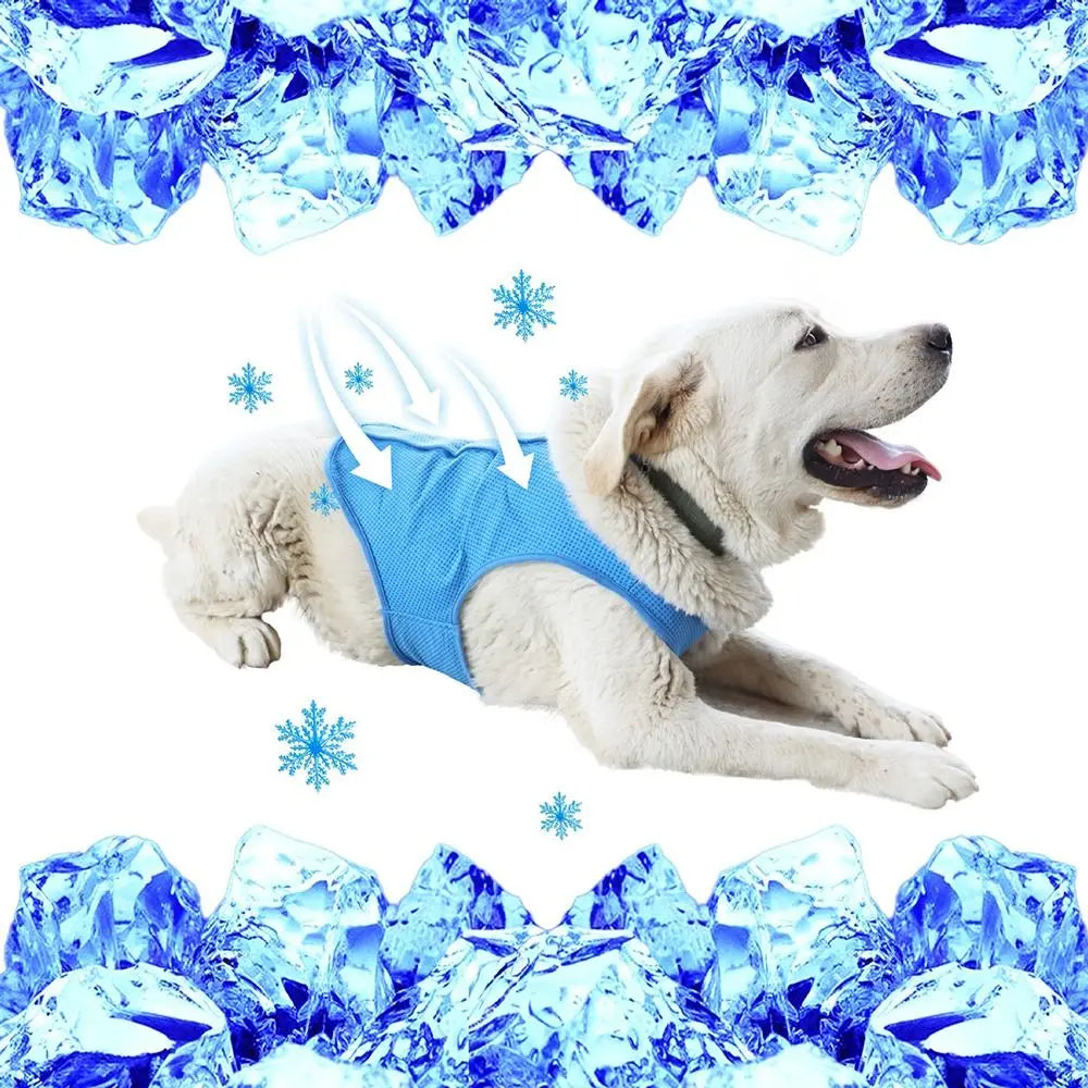 Evaporative Cooling Vest for Dogs – Lightweight & Breathable