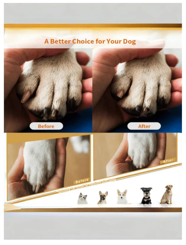 Before and after comparison of a dog's paw nails showing the effect of a wooden-handle nail file.