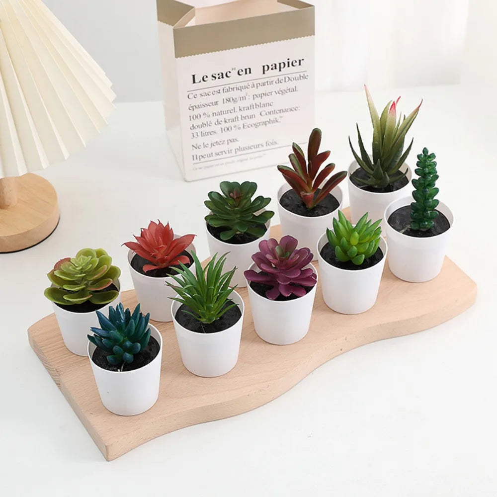 A collection of artificial cactus and succulent bonsai plants in white pots displayed on a wooden board.