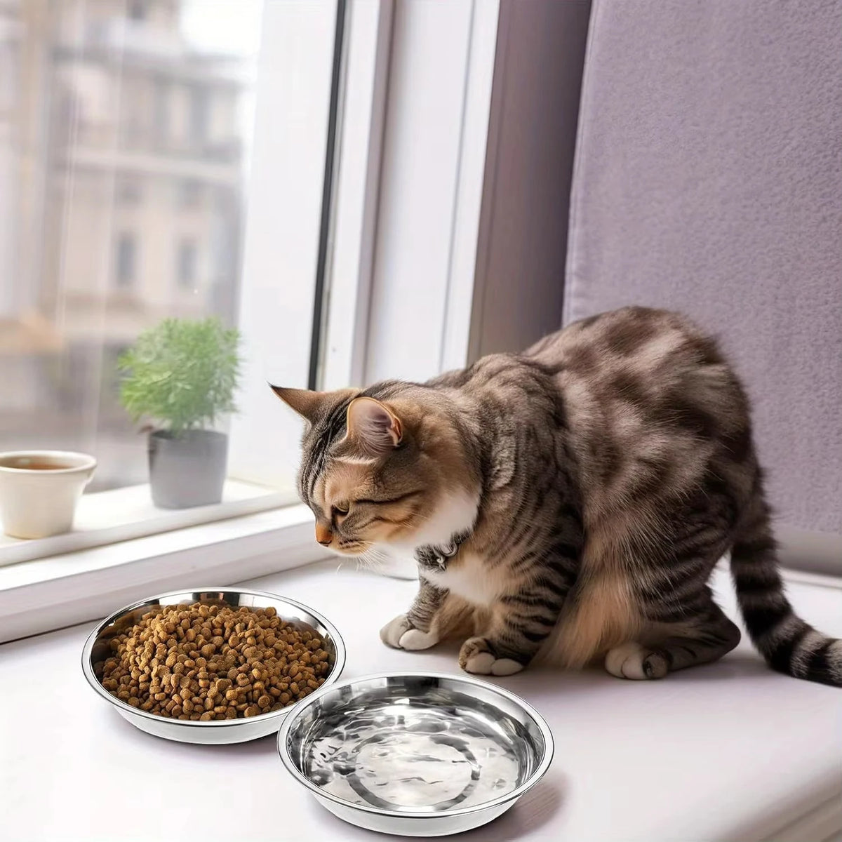 A tabby cat is resting near a white window sill with a stainless steel cat bowl set.