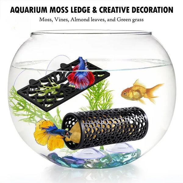 A clear glass aquarium decor featuring moss, vines, almond leaves, and green grass with a fish and an acrylic tunnel hideout.