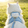 Un gato blanco esponjoso con un arnés y correa azul claro, parado en hierba verde.