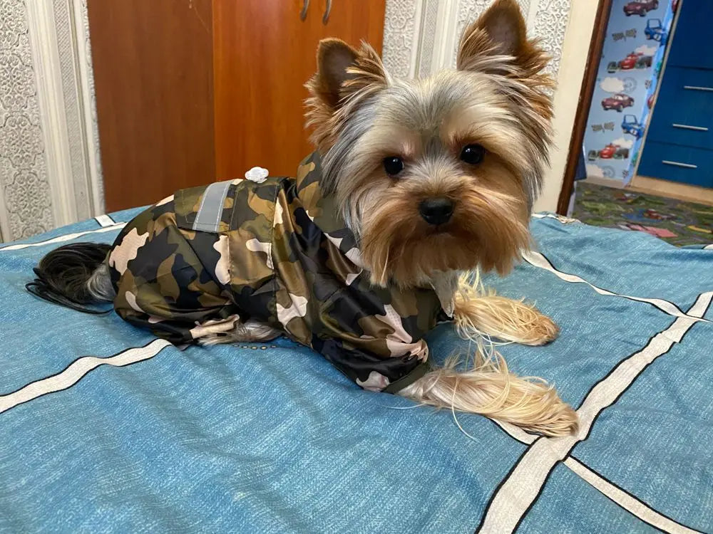 Adjustable Waterproof Dog Raincoat with Reflective Strap
