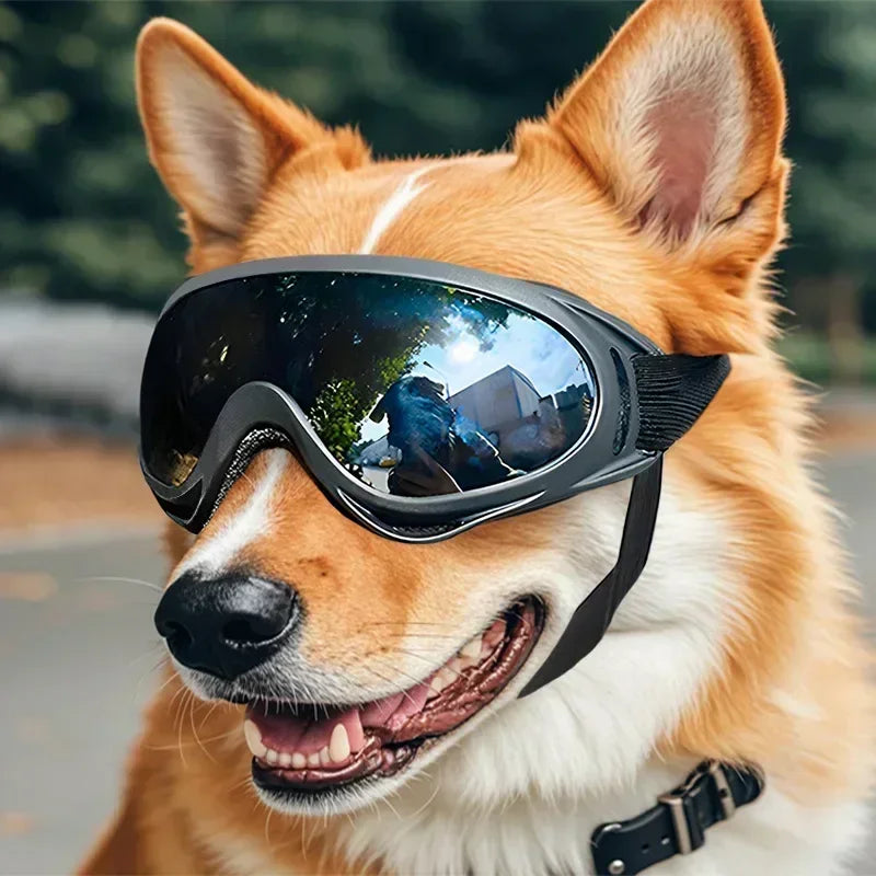Adjustable Anti-UV Dog Goggles with Windproof Lenses