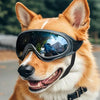 Adjustable Anti-UV Dog Goggles with Windproof Lenses