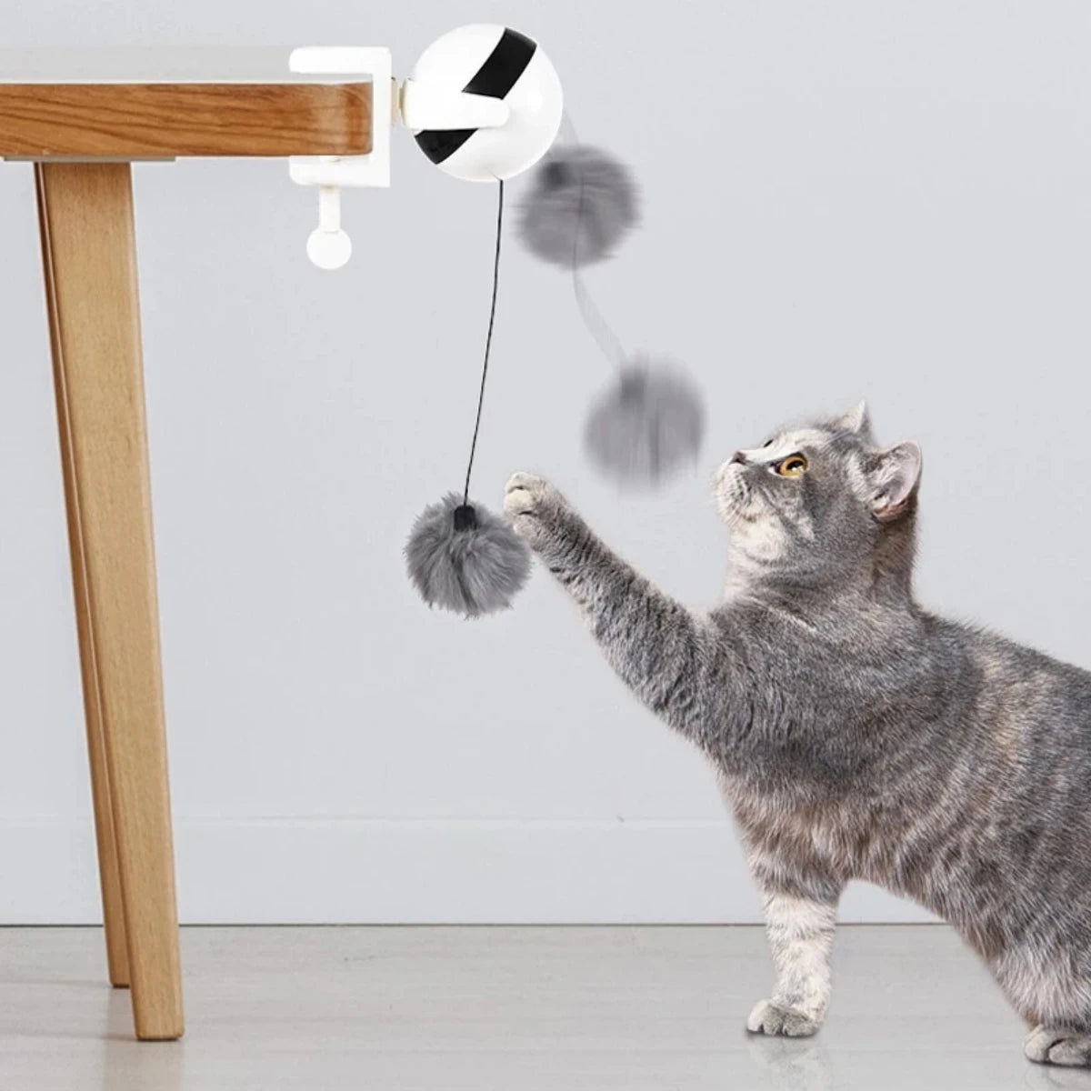 Un chat tigré gris interagit avec un jouet interactif doté d'une balle tournante et de plumes pendues.
