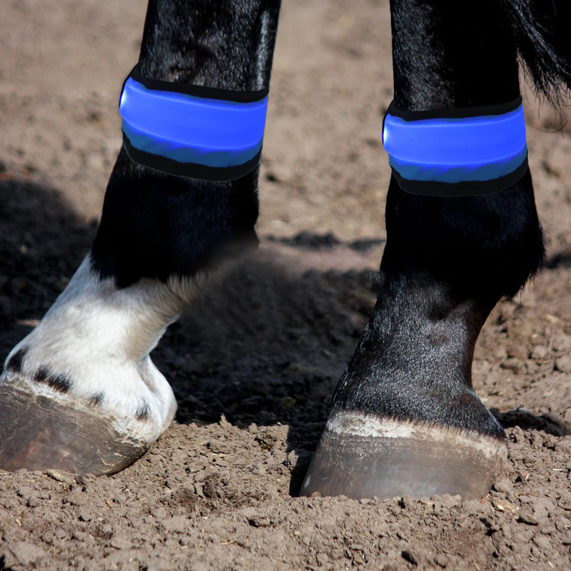 Wraps LED pour Jambes de Cheval - Lot de 4
