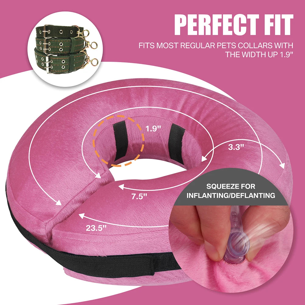 Inflatable Recovery Collar for Dogs and Cats