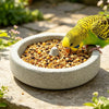 Natural Pumice Bird Feeding Bowl with Anti-Spill Design