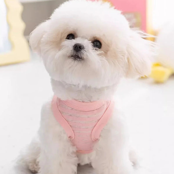 A fluffy white dog wearing a pink breathable mesh vest for summer cooling.