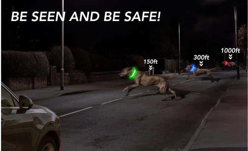 USB Charging Glowing Dog Collar with Pendant - Night Safety