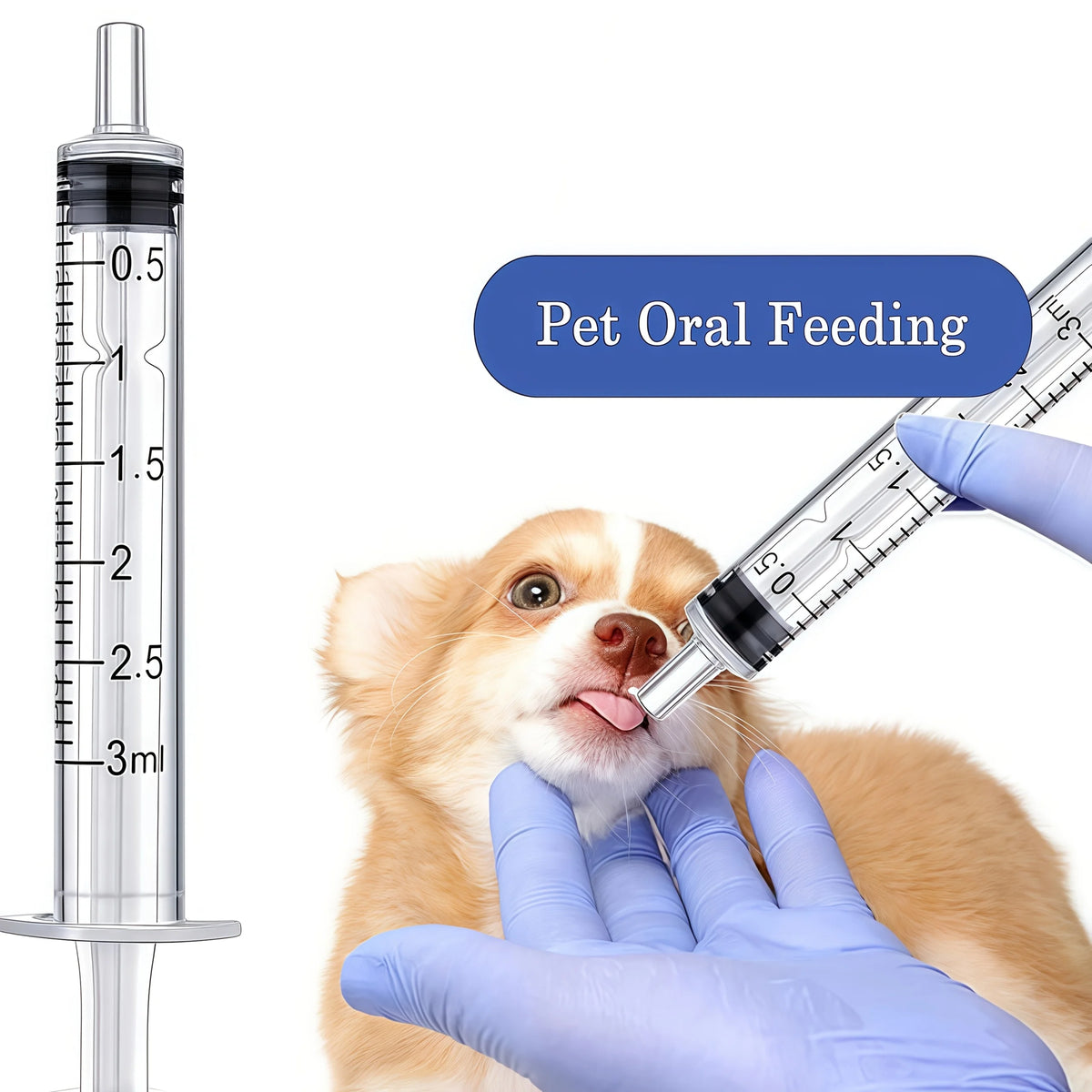 A paw holding a syringe dispensing liquid for pet oral feeding