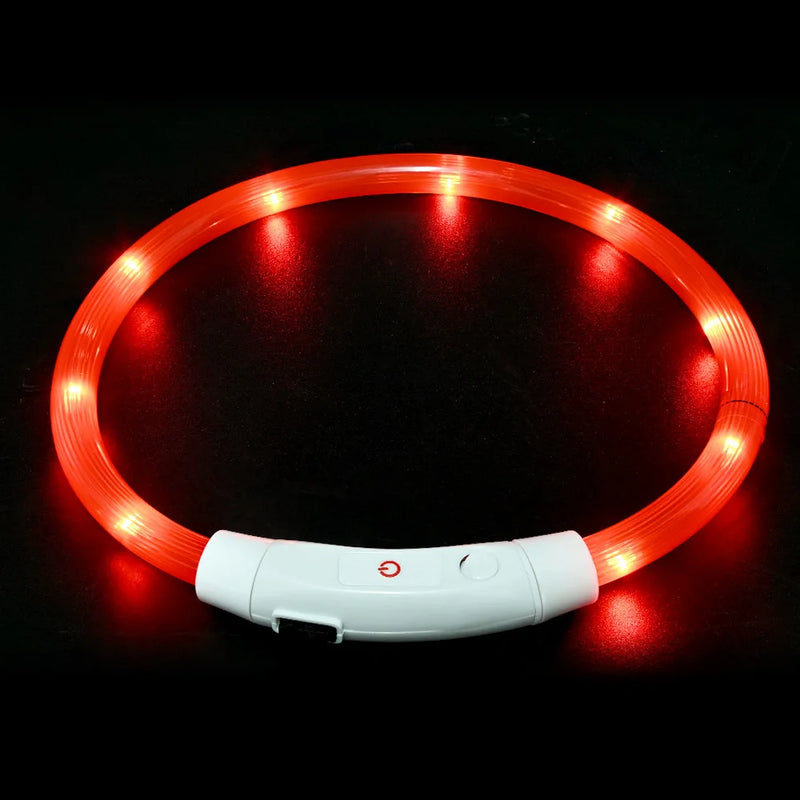USB-aufladbarer LED-Hundehalsband