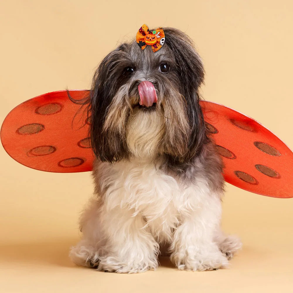 Halloween Pumpkin Print Dog Hair Bows with Rubber Bands
