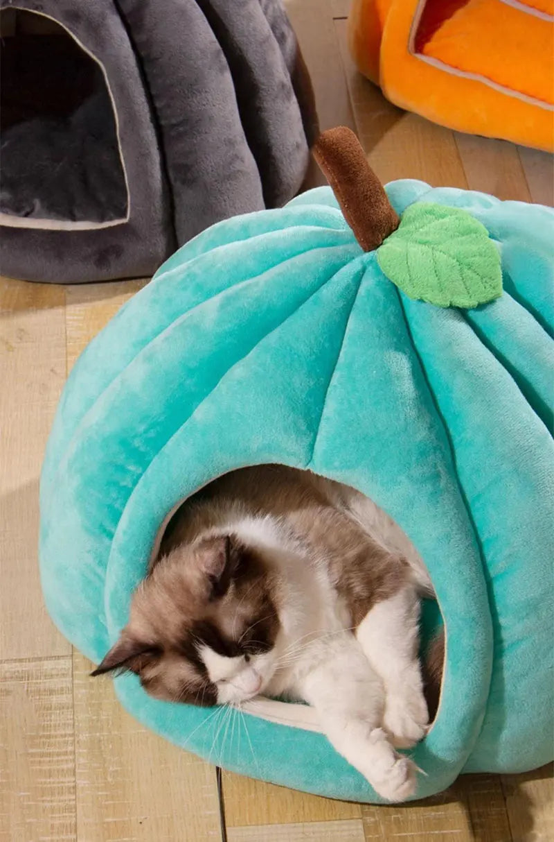 3D Pumpkin Pet House - Semi-Enclosed Bed with Removable Cushion