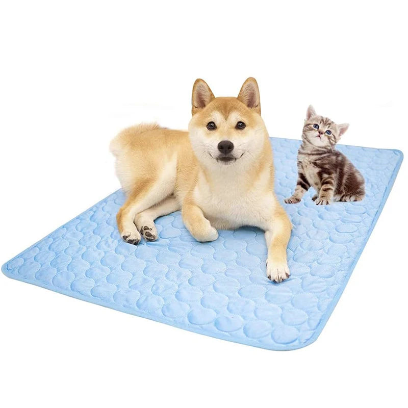 A fluffy golden dog and a small tabby kitten are resting on a blue cooling pet mat.