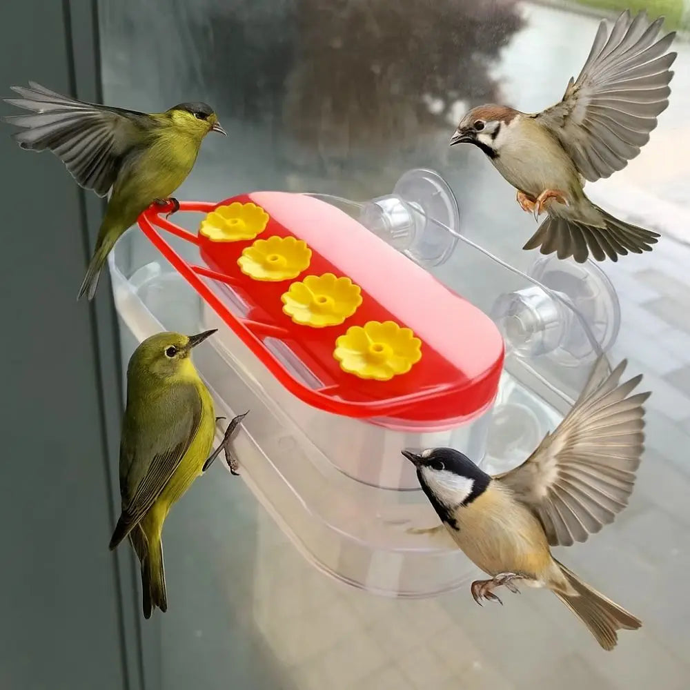 Refillable Hummingbird Feeder with Window Suction Cups