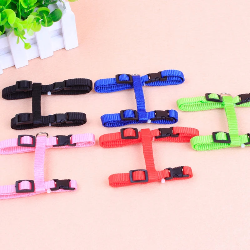 A collection of colorful adjustable cat chest straps and leashes in black, blue, green, and pink.