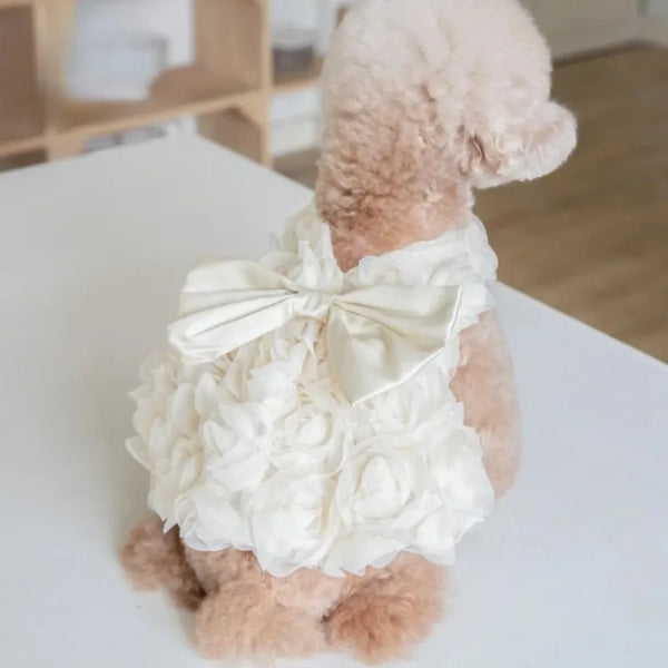 A fluffy, light brown dog wearing a white floral pet dress with a bow, sitting on a white surface.
