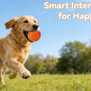 Interactive Automatic Rolling Dog Ball with Motion Activation
