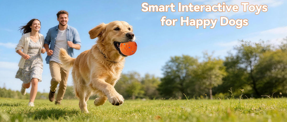 Interactive Automatic Rolling Dog Ball with Motion Activation