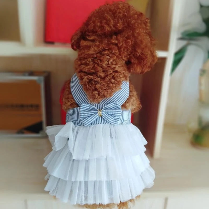 Vestido de Verano para Perro con Falda de Encaje
