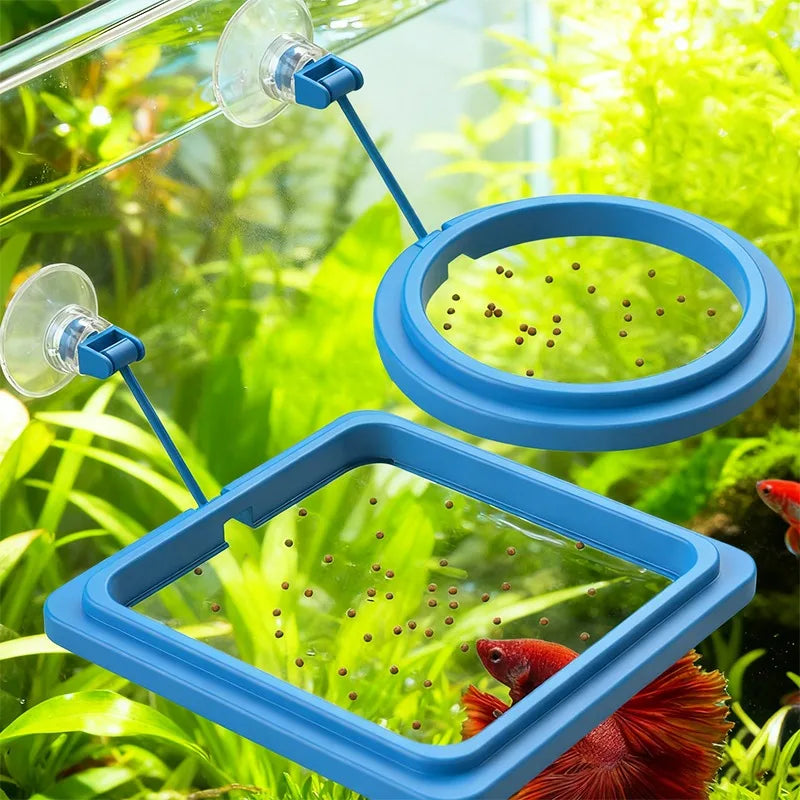 Comederos para peces azules de múltiples formas suspendidos en un acuario transparente con peces rojos visibles.