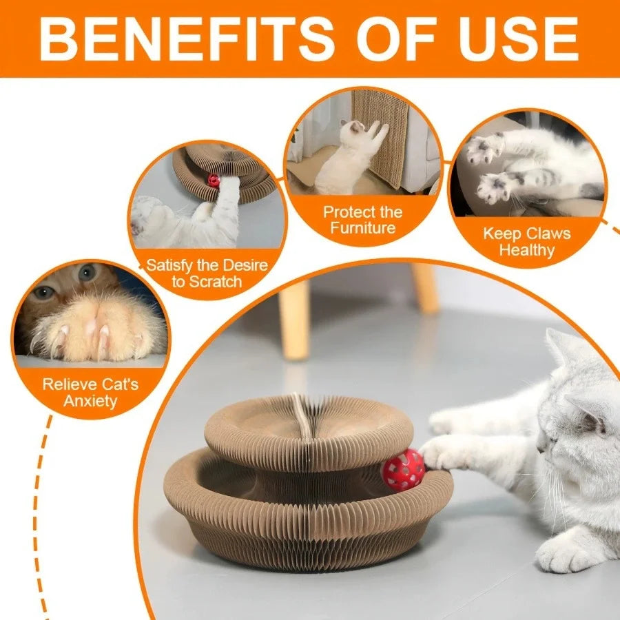 A foldable cat scratcher board with a ball and bell track is shown next to a white cat.