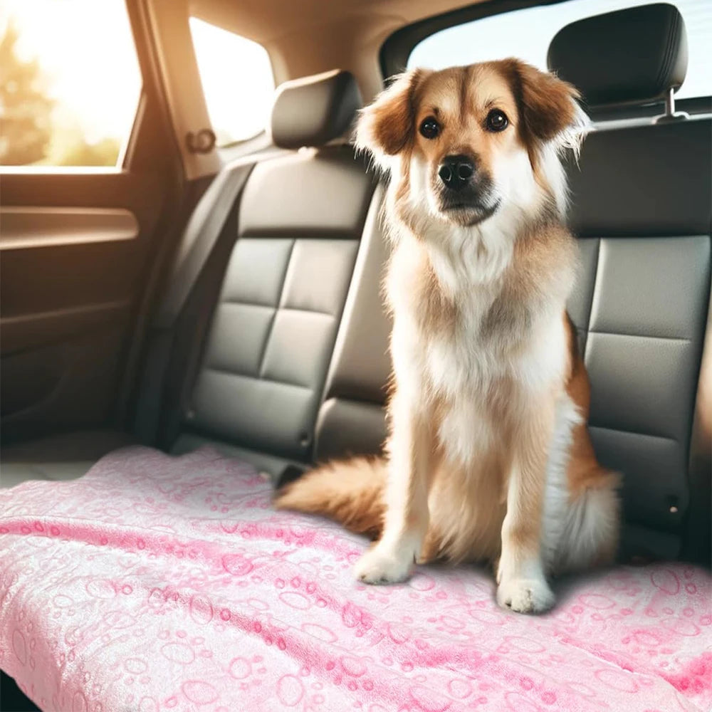 A golden retriever sits on a pink blanket inside a car, looking at the camera.