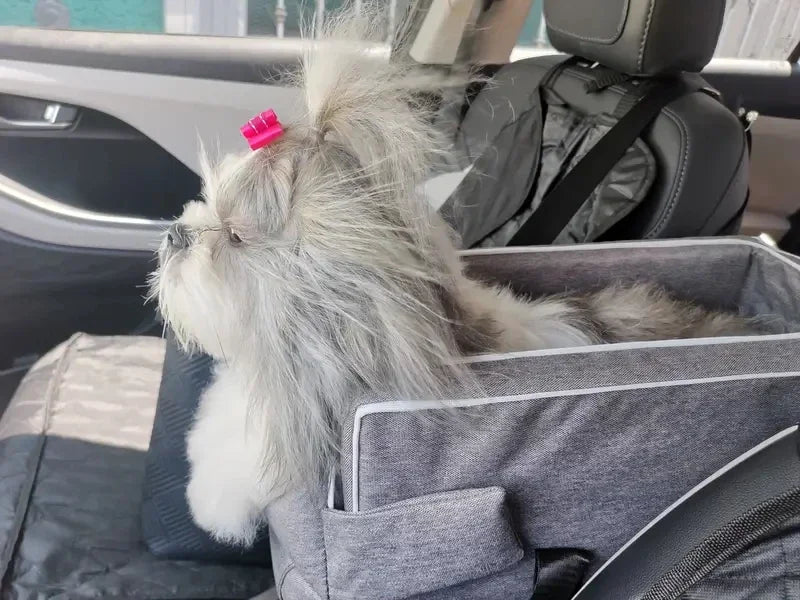 Portable Car Safety Seat for Small Dogs and Cats
