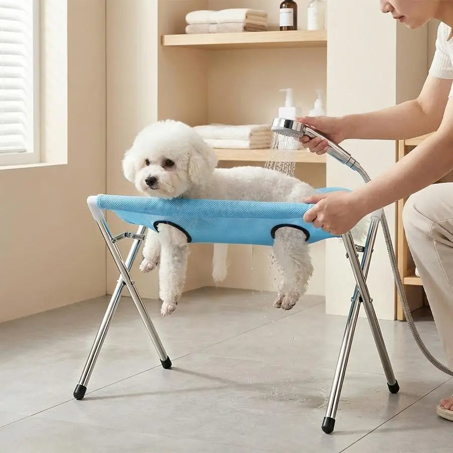 A white poodle is resting on a blue mesh hammock attached to a metal grooming stand for bathing and nail trimming.