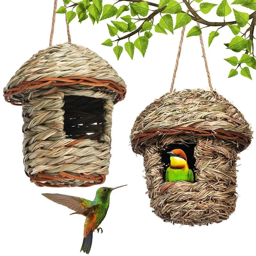 Handwoven straw bird nest hanging from a branch with a small green parrot perched inside.
