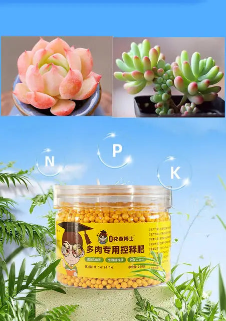 Jar of controlled release fertilizer for succulents and potted plants with plant cuttings in the background