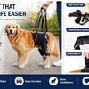 Dog Rear Leg Support Harness with Padded Lift Handle and Reflective Strips