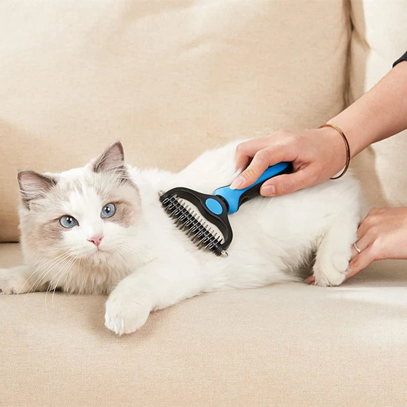 A person is using a blue stainless steel pet dematting comb on a white cat resting on a light-colored sofa.