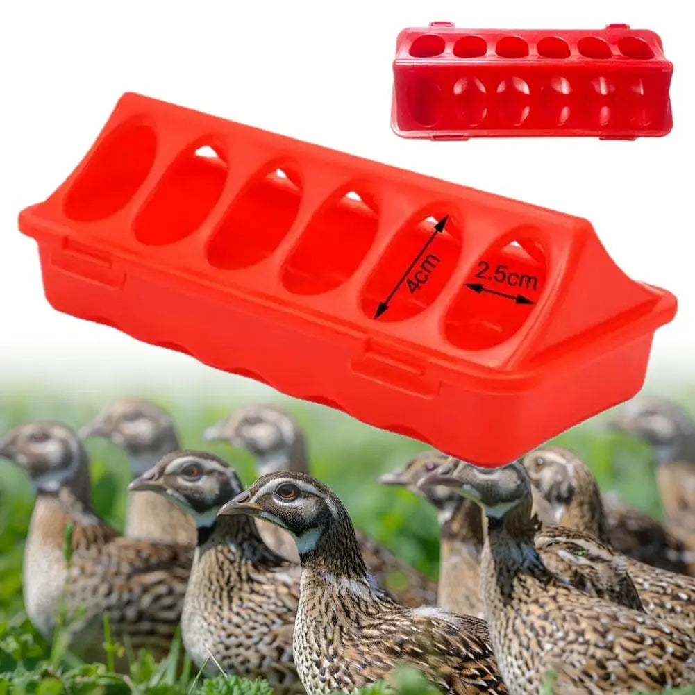 A red double-sided 12-hole poultry feeder for quail, chicks, and small birds is shown with several quails in the background.