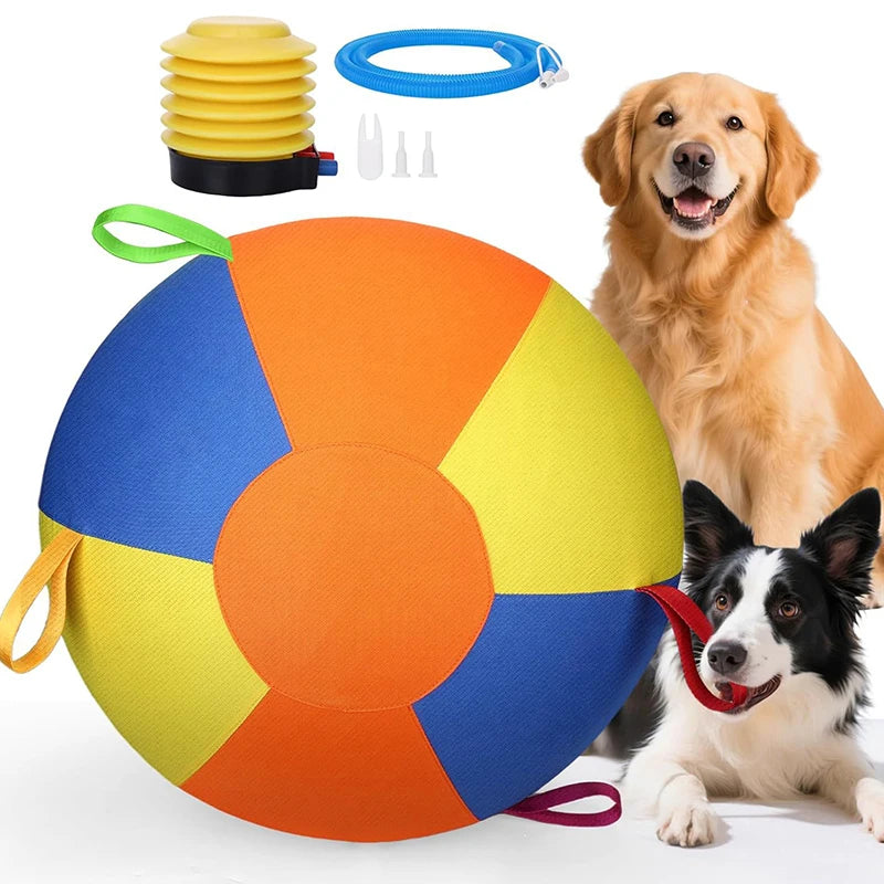A colorful inflatable herding ball with a handle and nozzles, next to a golden retriever and a black and white dog.