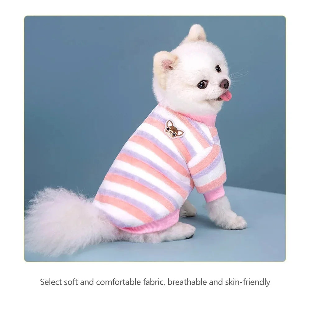 A white dog wearing a pink and white striped cotton flannel sweater.