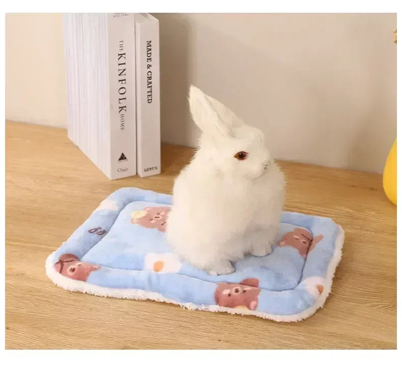 A fluffy white rabbit sits on a blue fleece pet bed mat next to two books.