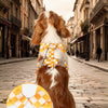 Checkered Nylon Dog Harness for Small Dogs with Leash