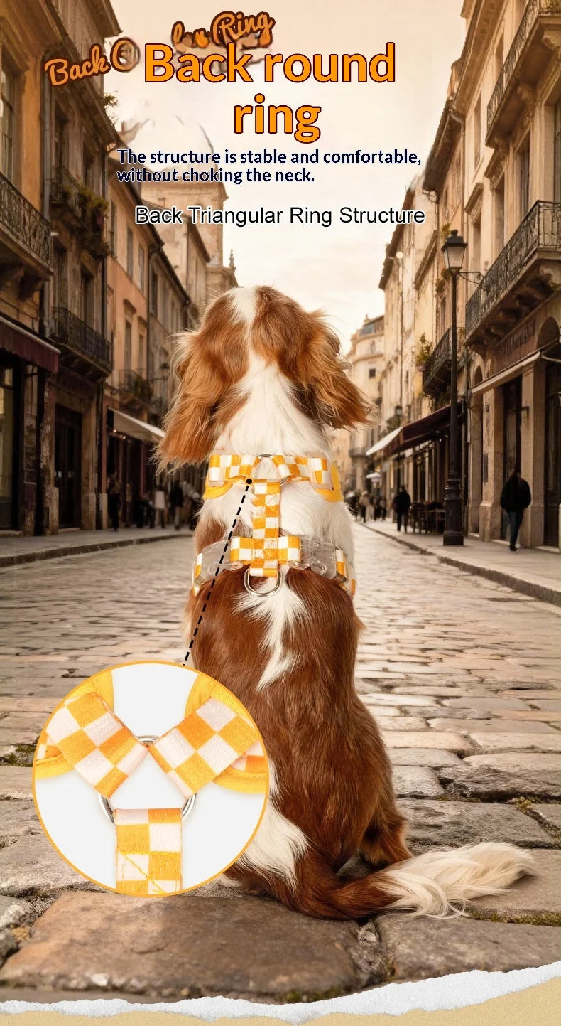 Checkered Nylon Dog Harness for Small Dogs with Leash