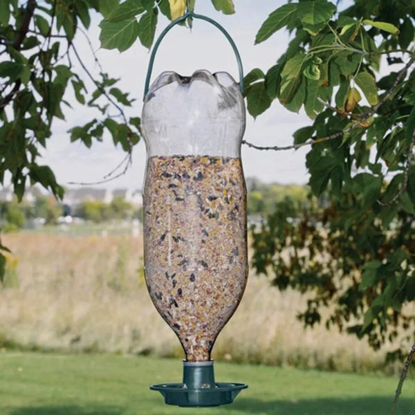 A glass bird feeder filled with seeds hangs from a wire, set outdoors in a grassy area.