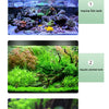 Aquarium-Thermometer mit 3D-LED-Display