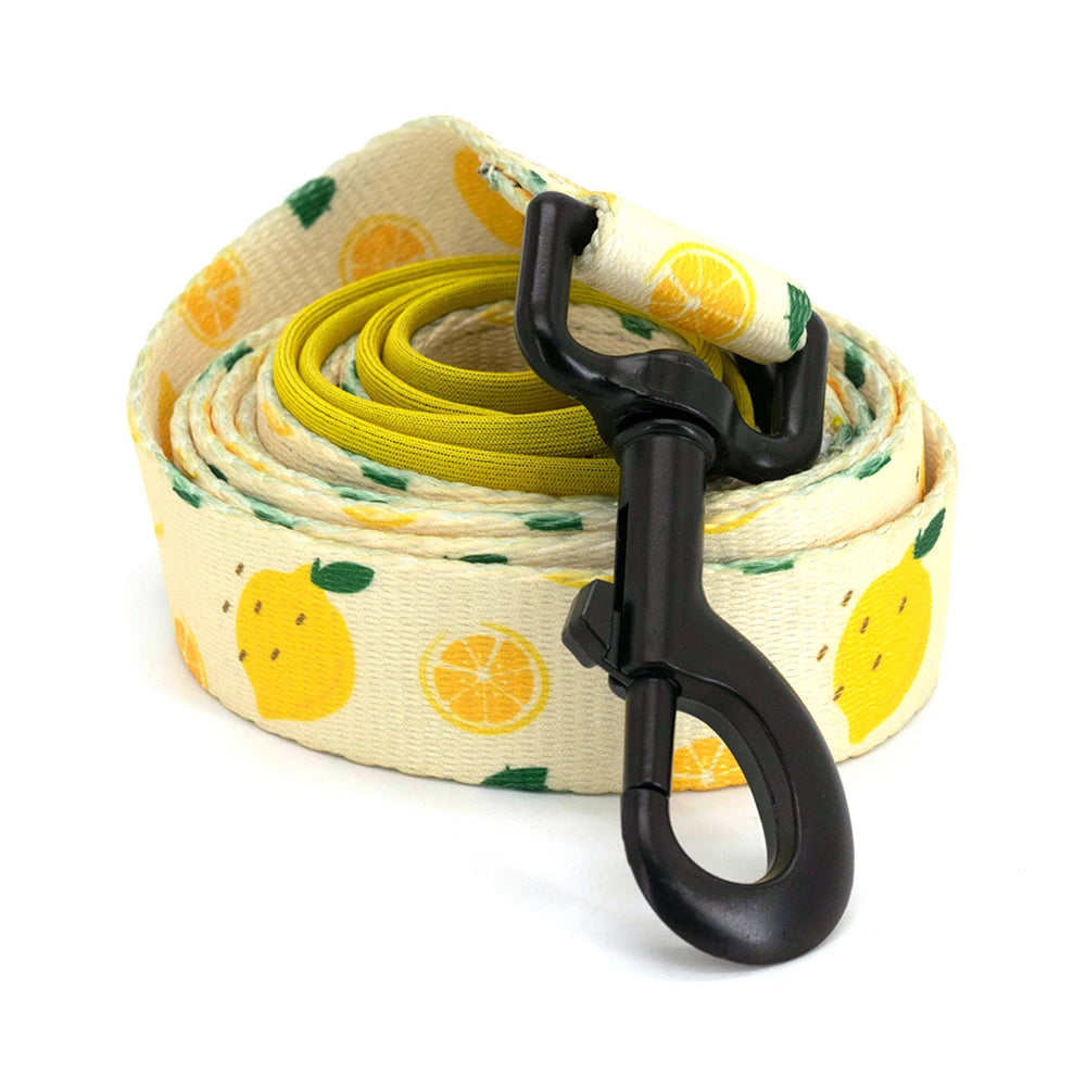 Yellow and white striped dog collar with a black lobster clasp and soft neoprene padding