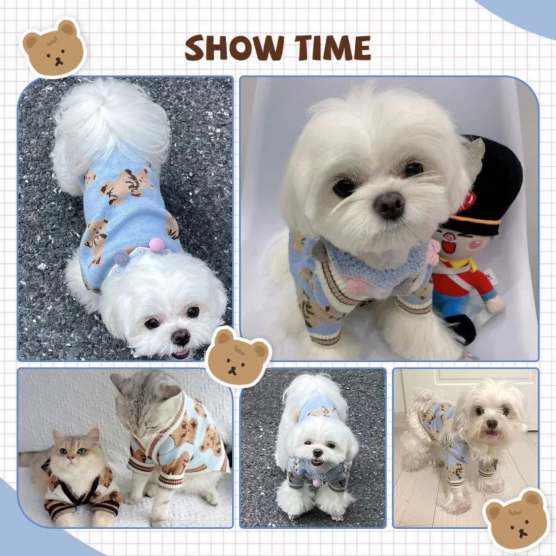 Adorable Bear Pattern Knitted Cardigan for Small Dogs and Cats