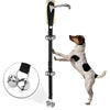A dog is attached to an adjustable metal dog doorbell for potty training, showing the mechanism.