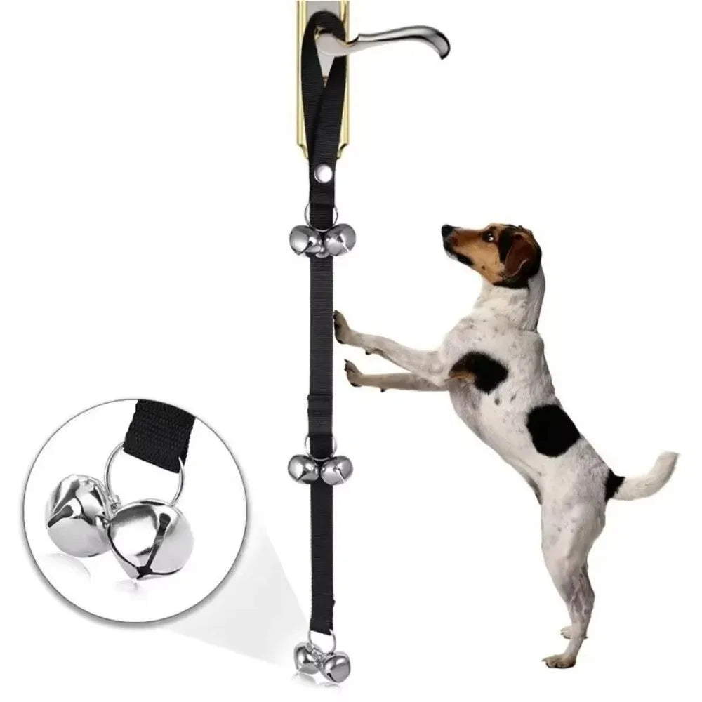 A dog is attached to an adjustable metal dog doorbell for potty training, showing the mechanism.