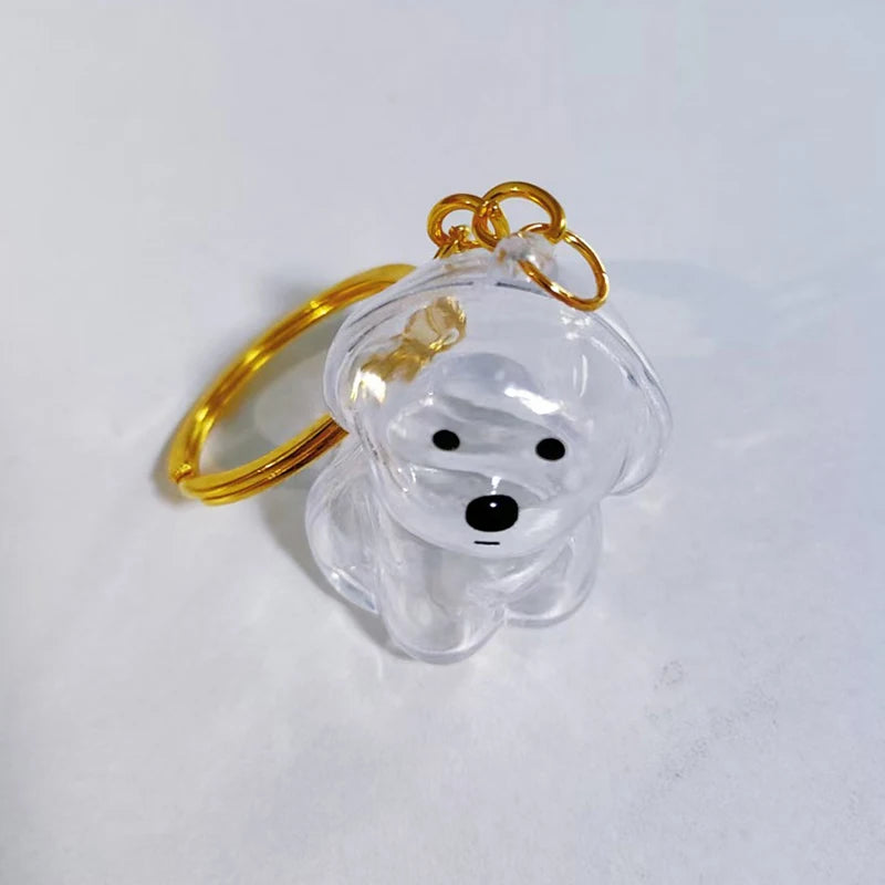 Transparent Pet Hair Keepsake Charm for Keys