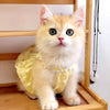 Yellow Floral Wreath Collar Mini Dog Dress
